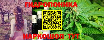 спиды Пушкино