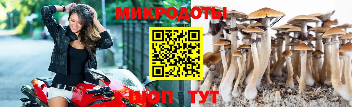 Галлюциногенные грибы Psilocybine cubensis  Вход с VPN  Аргун 